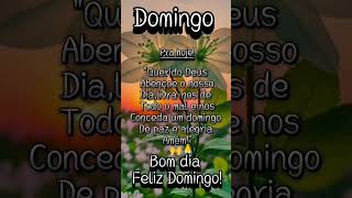 MENSAGEM DE BOM DIA, DOMINGO ABENÇOADO PRA GLÓRIA DE DEUS 🙌🙏