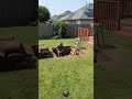 He Built a Secret Backyard Bunker in Just Weeks (Solo Build!)