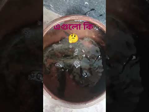 আর ৫০০ সাবস্ক্রাইবার লাগে প্লিজ কর সবাই #foryou #shortvideo #shorts #song #shortsfeed #trending