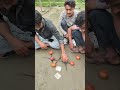Onions 🌰 and Tomato 🍅 vs video #amazing #video #challenge #funny