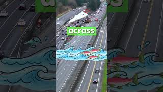 Update Traffic Impacts: WSDOT Fish Passage Project