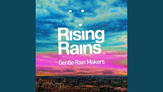 rain birds echoing flying