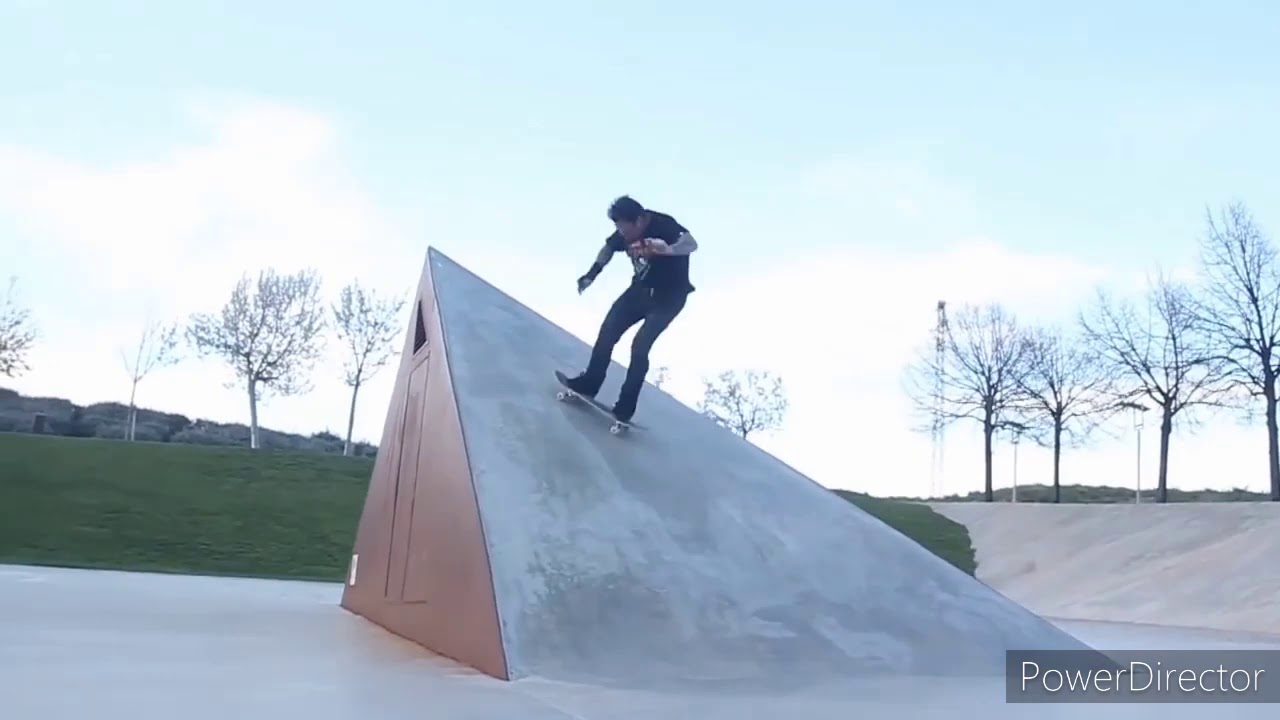 Bam Margera Skateboarding