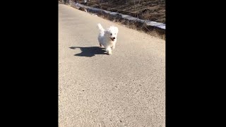 BTS Jin Twitter Update 160215