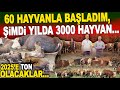 60 Hayvanla Başladık, Şimdi Yılda 3 Bin Büyükbaş Kurbanlık Elimizden Geçiyor / Ova Çiftlik İstanbul