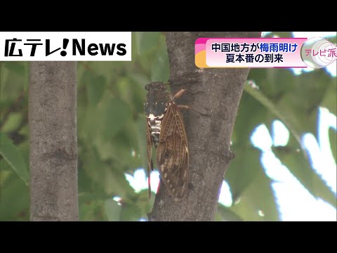 【夏本番の到来】平年より一日遅い　梅雨明け