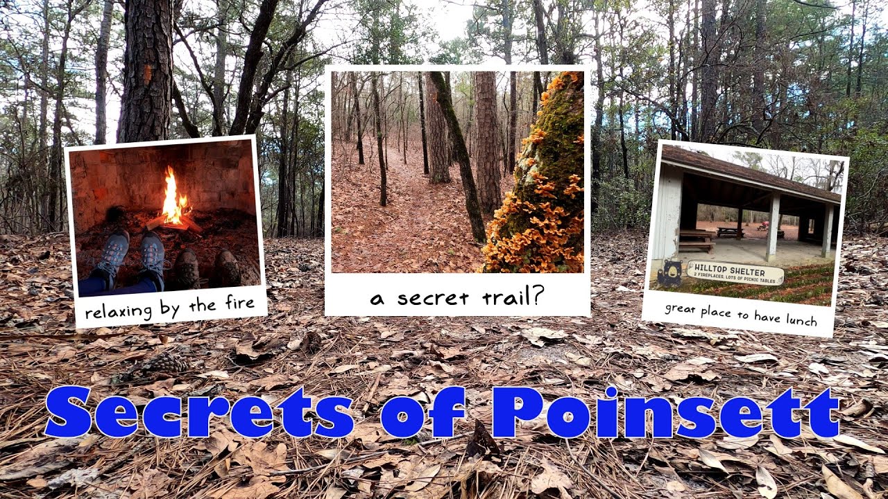 The Secret Spots of Poinsett State Park