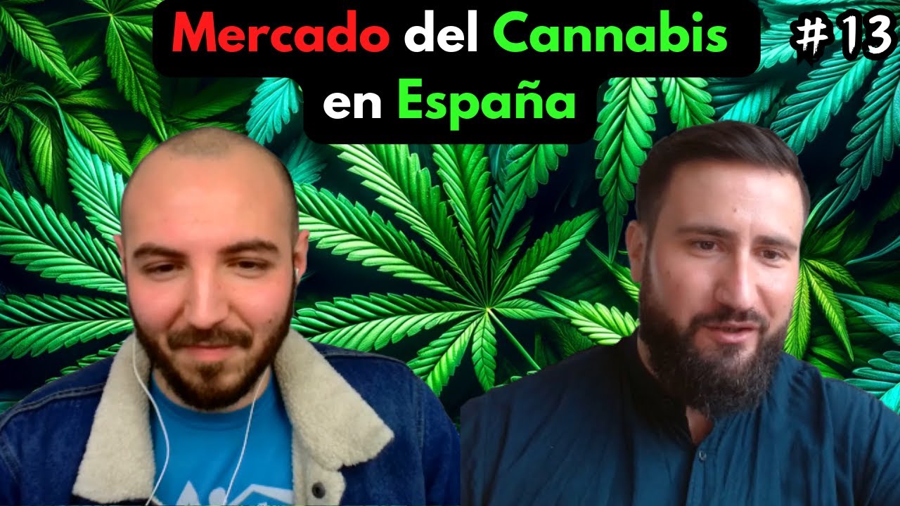 El Mercado del Cannabis en España, Problemas de la Legalización en Alemania | Analista de Mercados