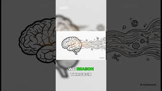 How LLMs Learn Hidden Language Patterns