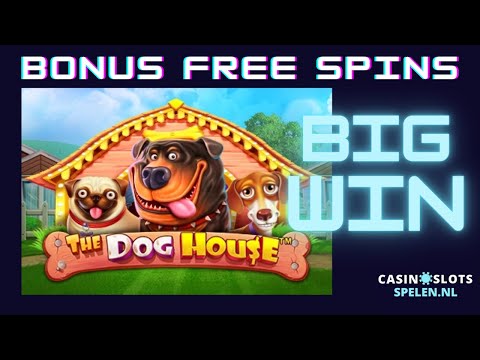 Spindog Online Casino: Speel de Beste Casino Spellen in Nederland