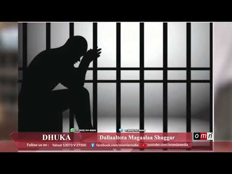 Dallaaltota Magaalaa Shaggar