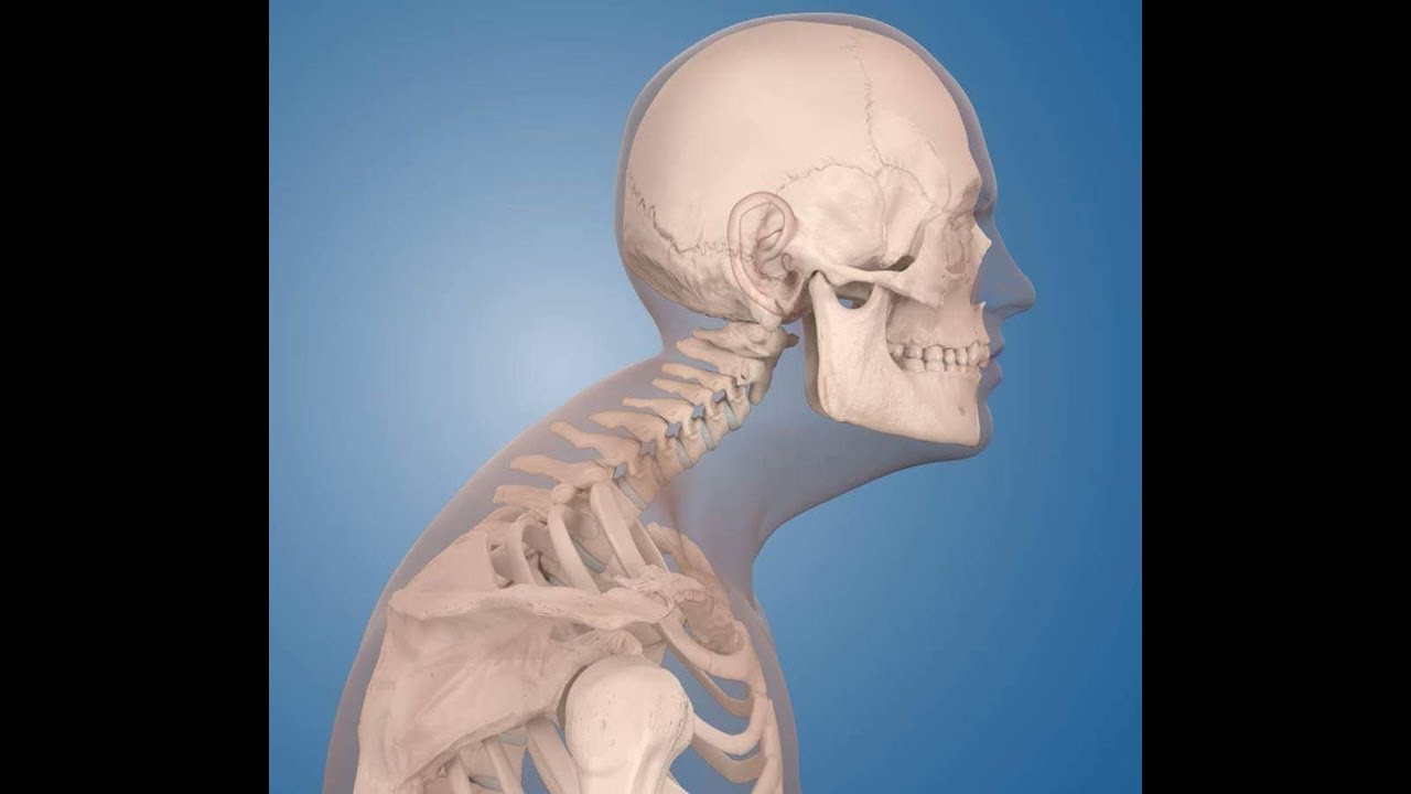 Correct Your Posture INSTANTLY with this Device. LINK IN DESCRIPTION or www.5econds.com/posture - Correct Your Posture INSTANTLY with this Device. LINK IN DESCRIPTION or www.5econds.com/posture