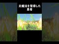 炎魔法を習得した勇者 【ゼルダの伝説 ティアーズオブザキングダム】