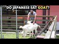 REASONS WHY JAPANESE DONT EAT GOAT MEAT?