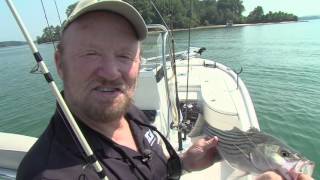 Oneill Outside - Deep Summer Stripers - 2016