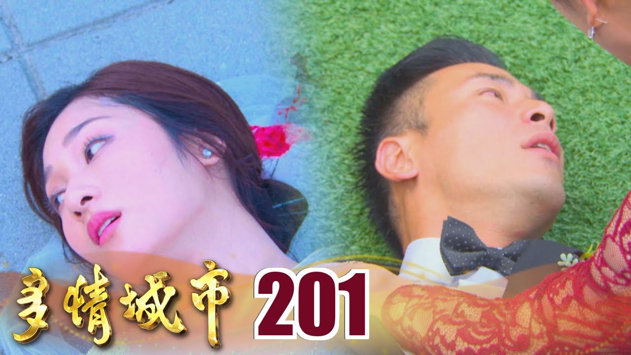 多情城市 EP201 世上最坎坷的愛情─群飛戀｜Golden City