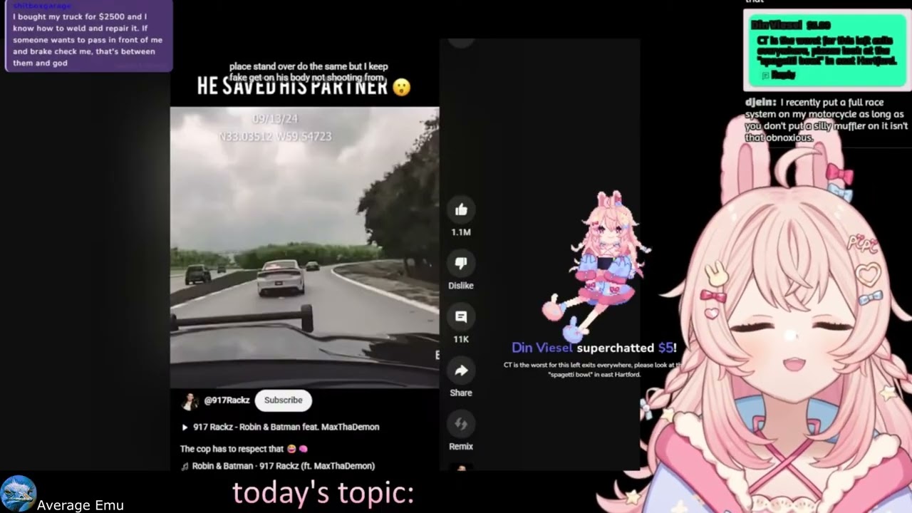 Pippa: An Immovable Object In Motion