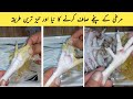 murgi ke panje saaf karne ka tarika | How To Clean Hens Feet by Cooking with Sarim