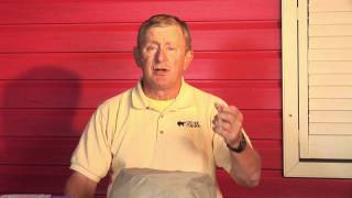 Mice Pest Control : How to Get Rid of Field Mice