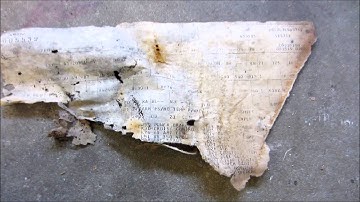 1977 Camaro Type LT Restomod part 2  Removing the interior and more water trap