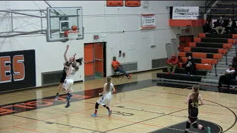 South Lady Wolverines vs Chugiak Mustangs, 2014 CI...