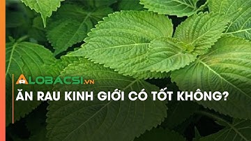 Ăn rau kinh giới có tốt không?