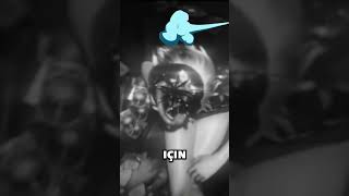 Pubg Mobile Hangi̇ Ülkede Geli̇şti̇ri̇ldi̇ ?