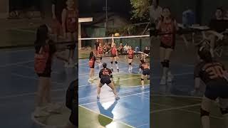 #7 NICE ONE 🐎 #shorts #fyp #volleyball #trending #basketball #viral