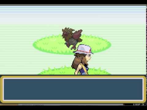 Gameshark 코드를 사용할 수 없음 Visual Boy Advance 1.7.4 Mac