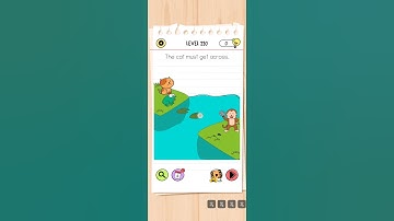 Brain test level 220 , Brain out , The cat must get across.