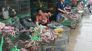 Ngeri Pasar Hewan Liar Di Vietnam