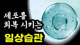 세포를 회복시키는 일상습관 / 스스로 회복하는 몸 만들기 2부