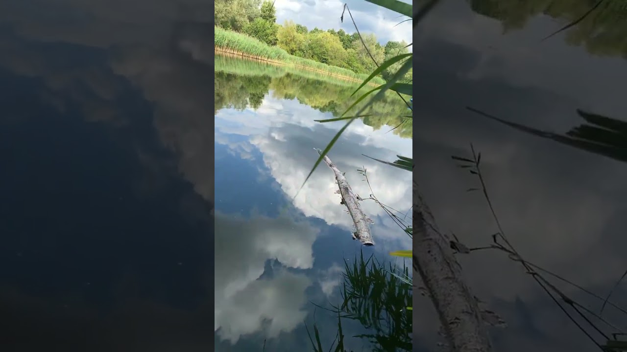 Time out in the park 