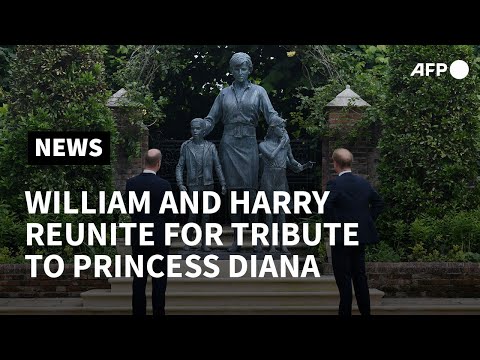 Video: Prins Harry Bekrefter Trøbbel Med Broren William