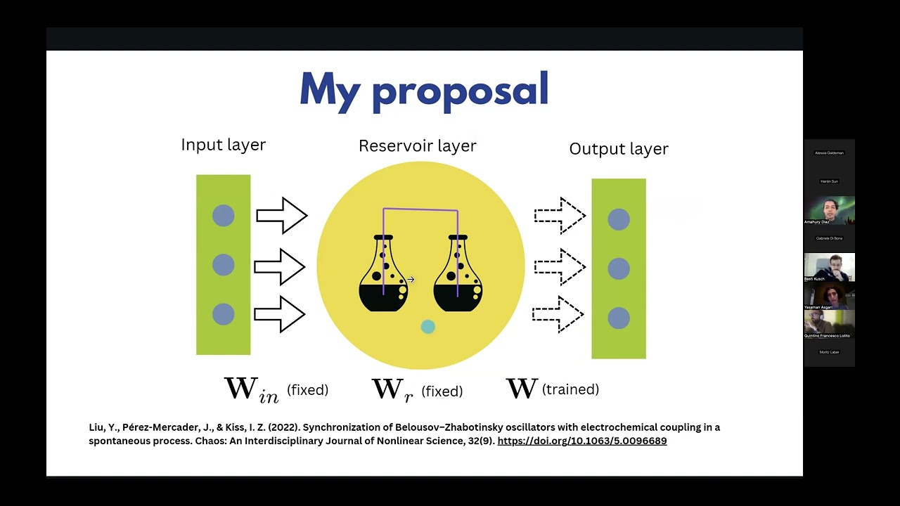 Chemical automata nets as a solution to programmability in unconventional computing, Amahury Diaz