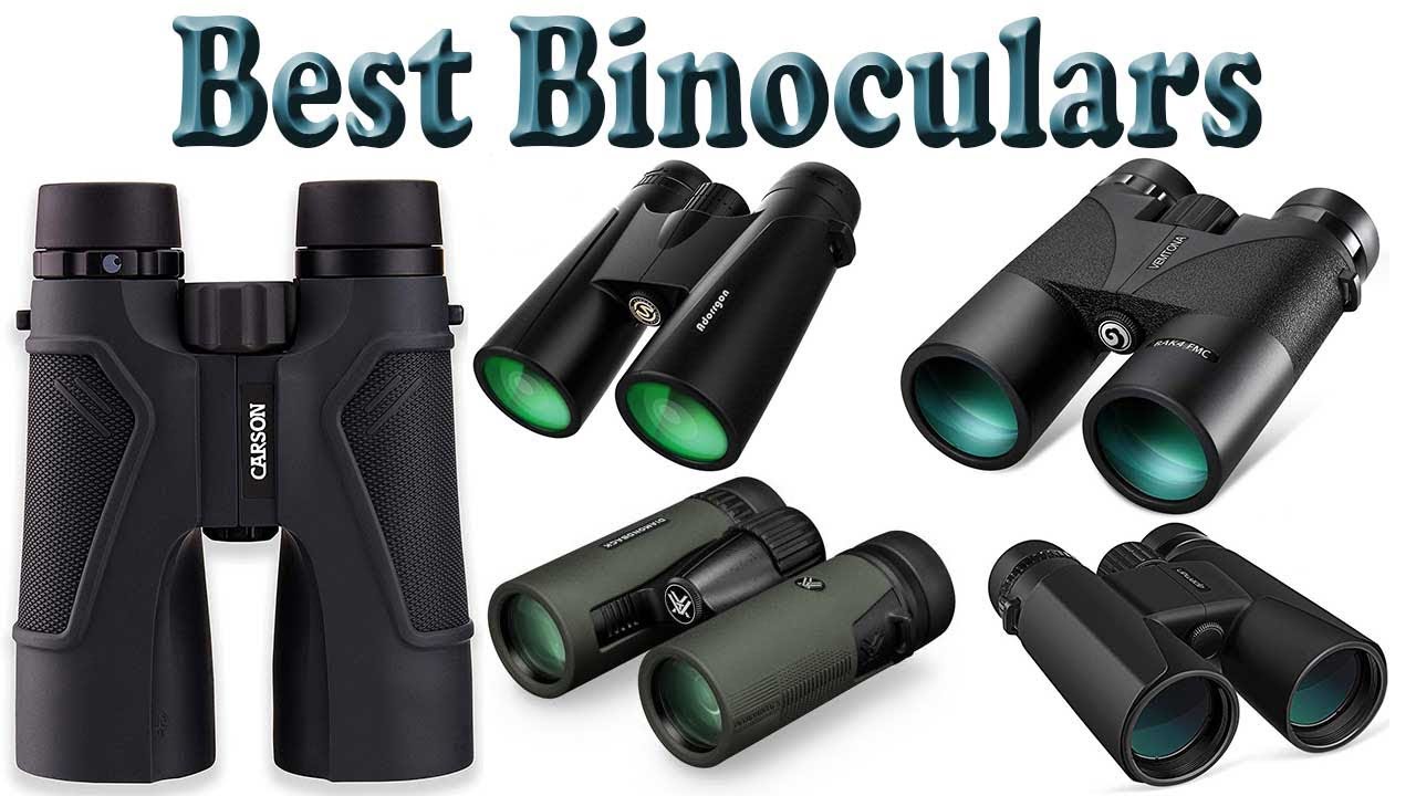 Best Binoculars For Hunting – Top 8 Best Binoculars Reviews
