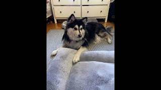 Yhdysside - Tapio Susi