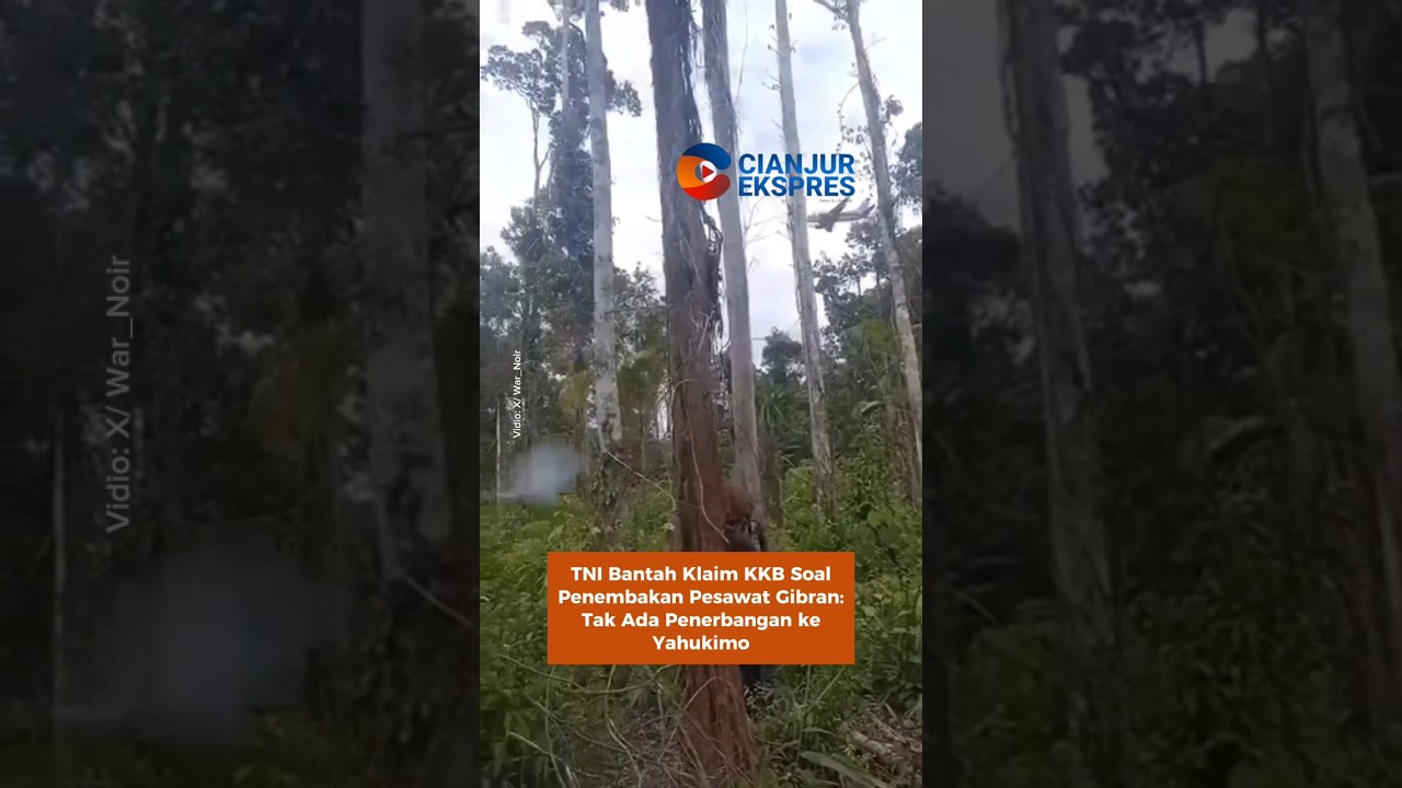 TNI Bantah Klaim KKB Soal Penembakan Pesawat Gibran: Tak Ada Penerbangan ke Yahukimo