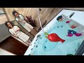 TENTAMOS PESCAR PEIXES DENTRO DA BANHEIRA DE HIDROMASSAGEM!! - Família Velhote