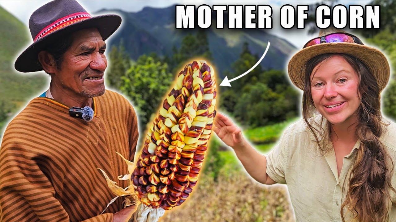 2000-летняя тайна гигантской кукурузы в Перу | Документальный фильм о Священной долине