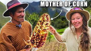 Download Lagu Het 2000 jaar oude geheim van Peru's reuzenmaïs | Documentaire over de Heilige Vallei MP3