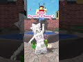 Here’s your chance to get to know me before I’m famous 💖 #mm2 #mm2edit #roblox #robloxedit 