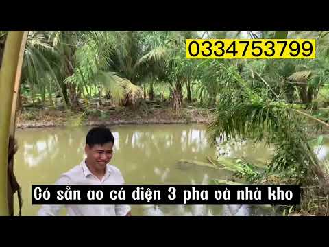 Video Vườn trái cây vĩnh tân vĩnh cửu đồng nai giá đầu tư ,... - youtube