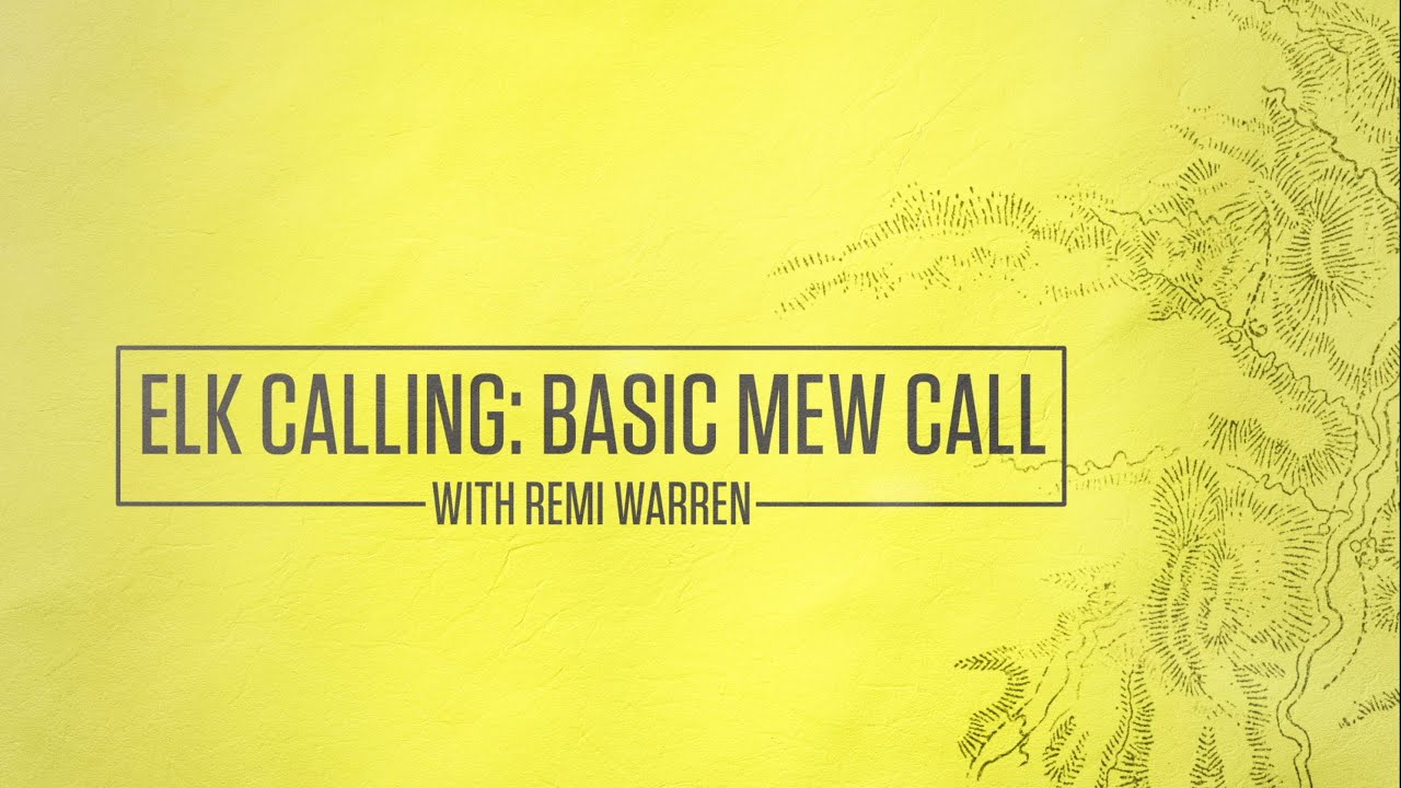 How to Call an Elk: Basic Mew Call With Remi Warren