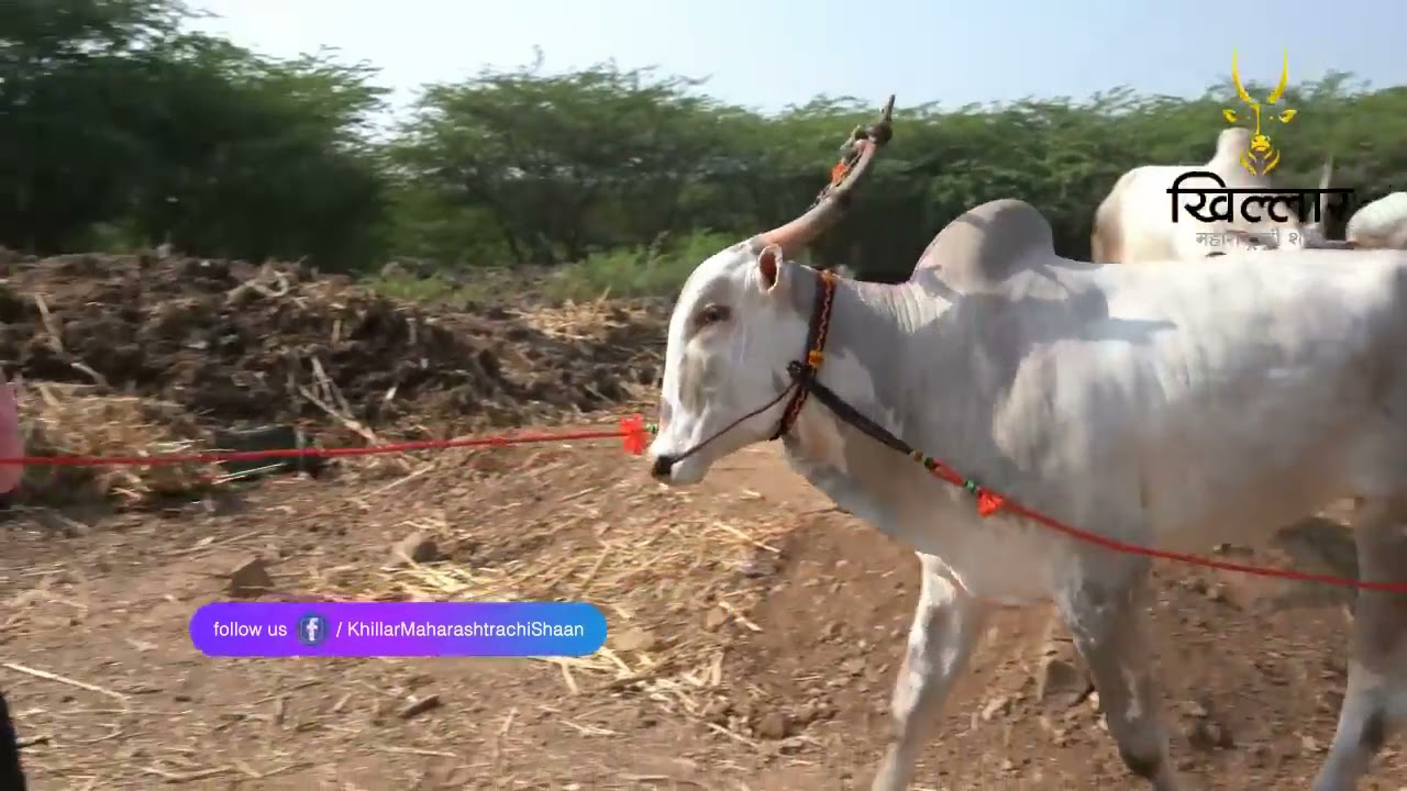 श्री सद्गुरू कोंडिबा महाराज,शिरूर.ता. अथणी जि. बेळगाव