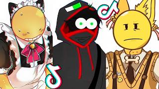 Minecraft Verity 😁 TikTok Compilation 17