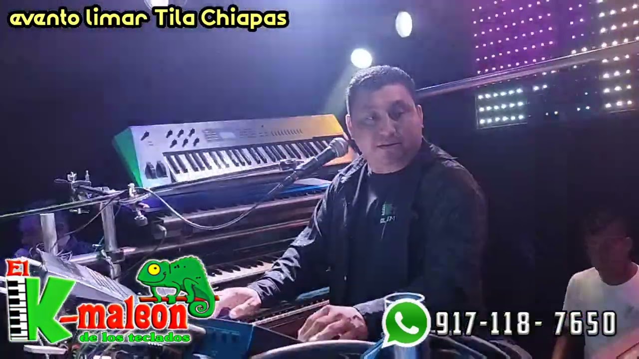 el camaleón de los teclados - pasito de ozoluama ( no me pegues no )