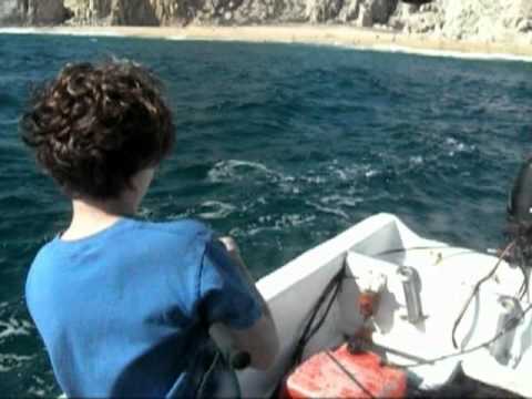 Cabo Fishing Dec 2010