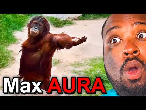 Animals with the MOST AURA
