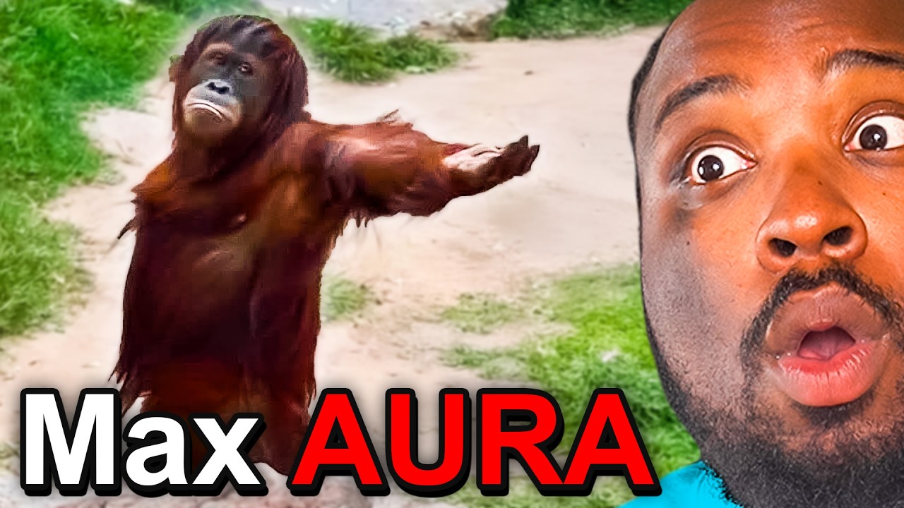 Animals with the MOST AURA